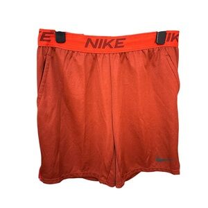 Men's Nike Standard Dri-Fit Training Shorts
